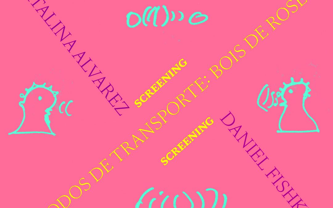 Escola das Artes acolhe programa Sons, Imagens e Palavras – Diálogos Transatlânticos a 29 de julho